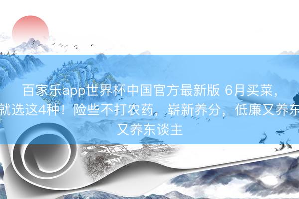 百家乐app世界杯中国官方最新版 6月买菜，提议就选这4种！险些不打农药，崭新养分，低廉又养东谈主